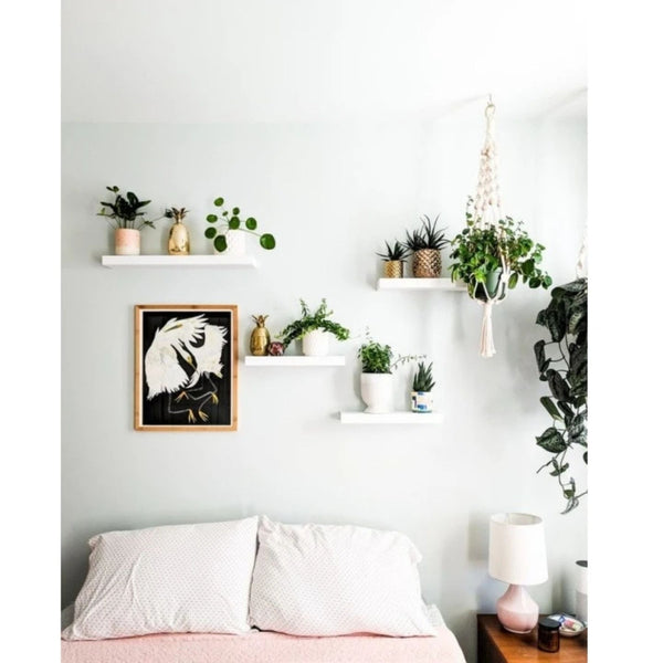 White Floating Wall Hanging Shelves Set of Four
