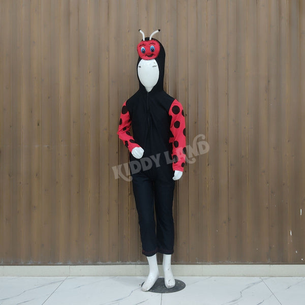 Lady Bug Costume