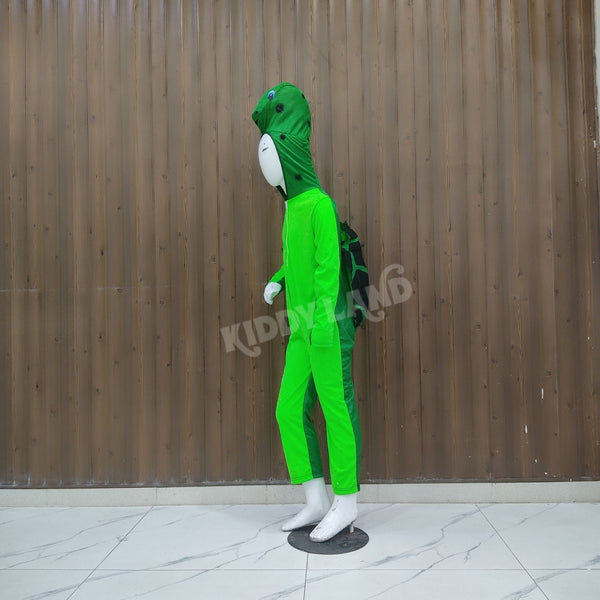 Turtle Costume