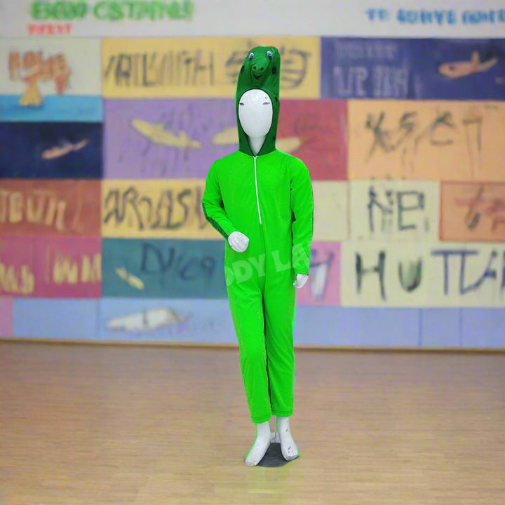 Turtle Rabbit Costume Turtle Costume