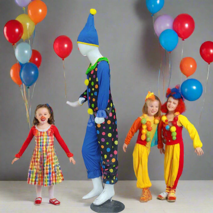 clown  costume 